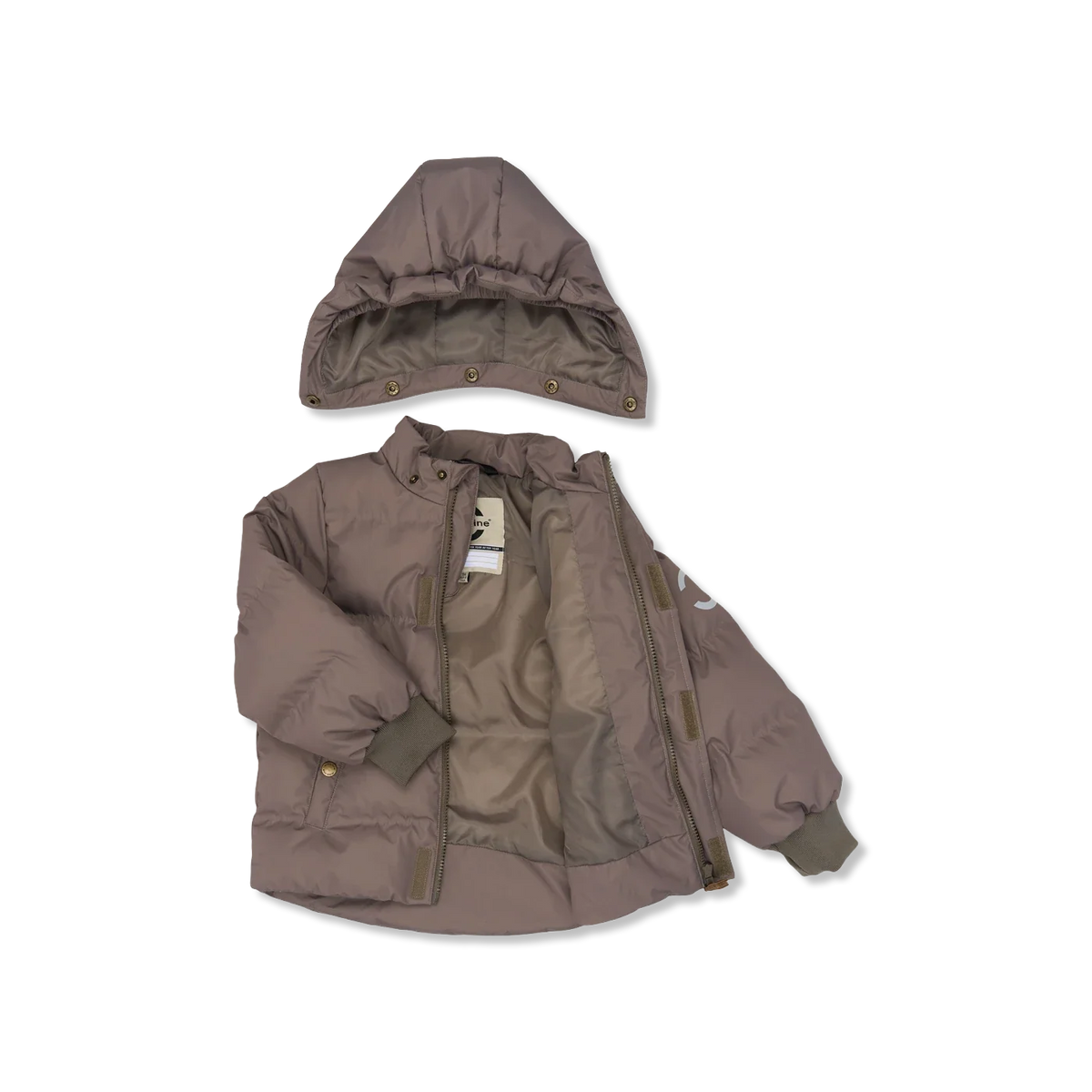 Winter jacket