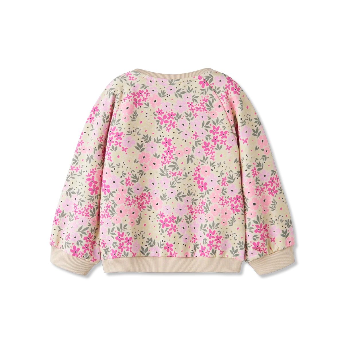 Nmfdartia sweatshirts