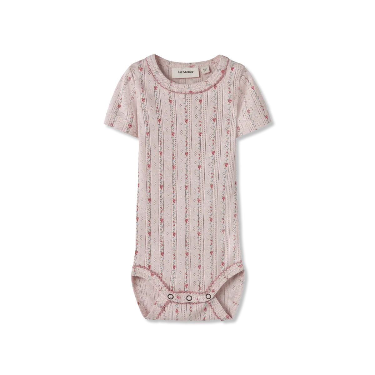 Nbfrachello Body