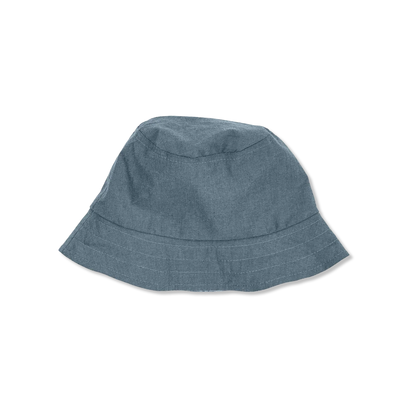 Sea Sonnenhut