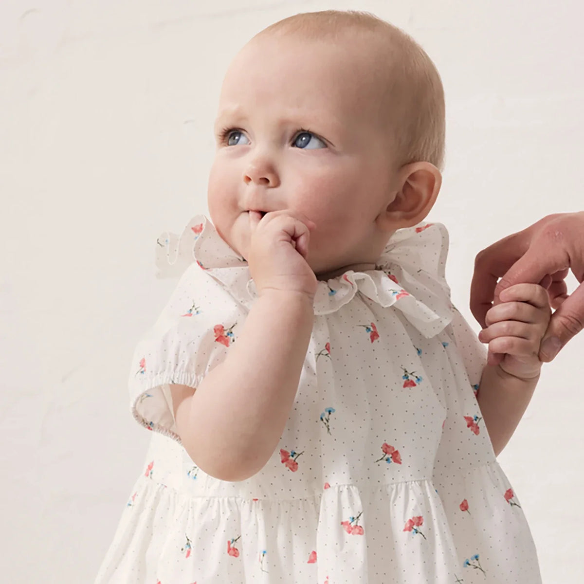 Dalino Dress