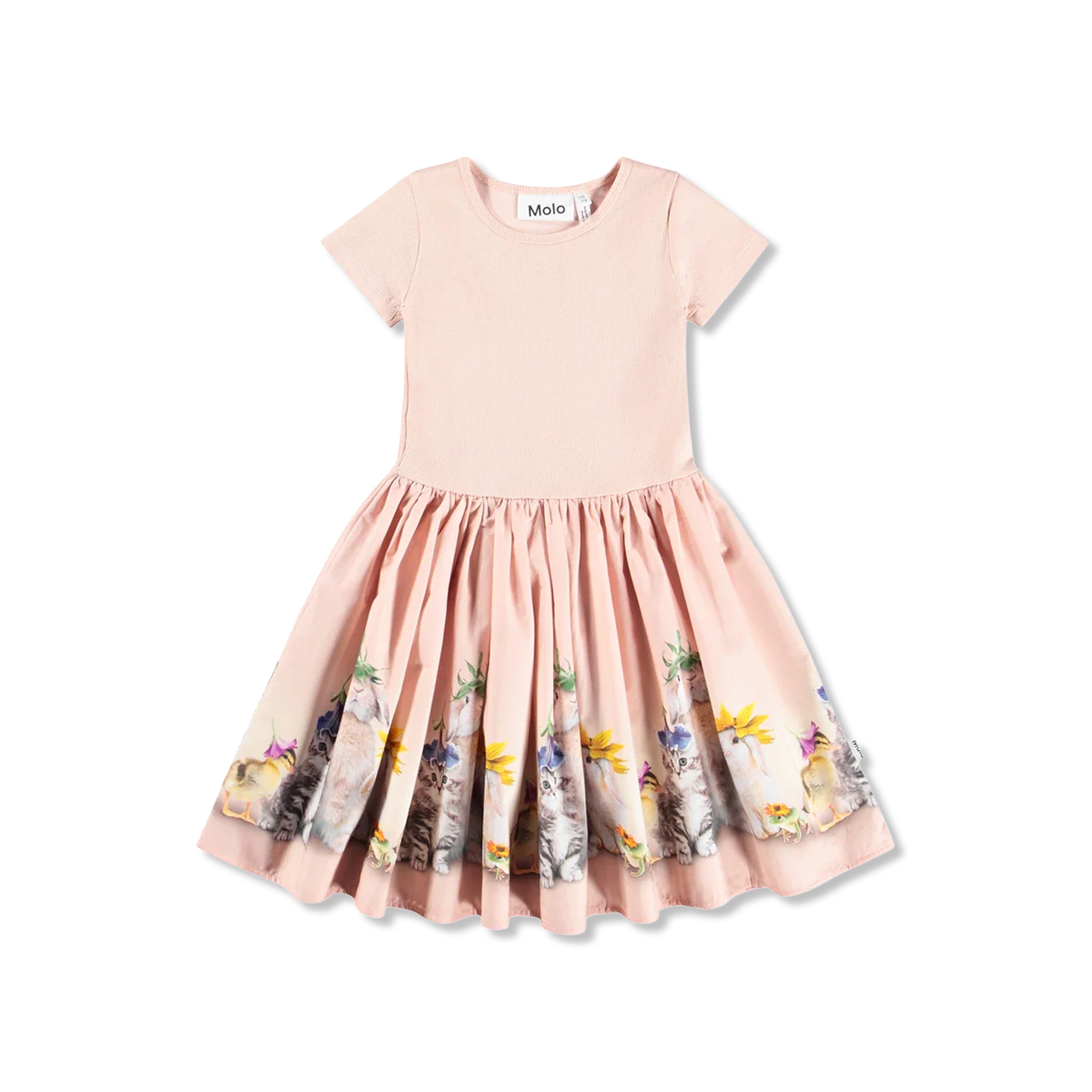 Cissa dress