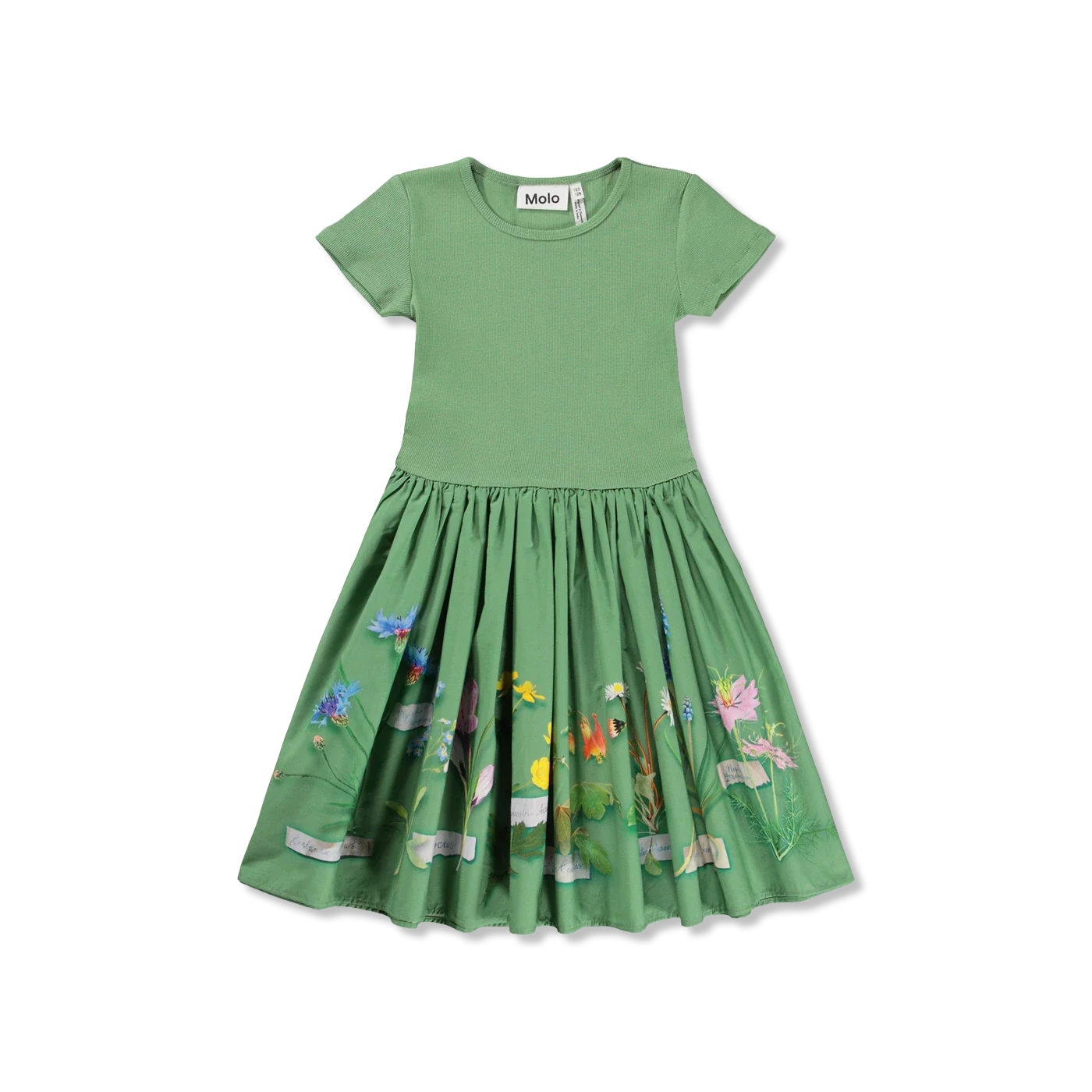 Cissa dress
