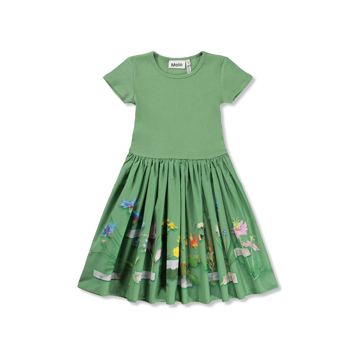 Cissa dress
