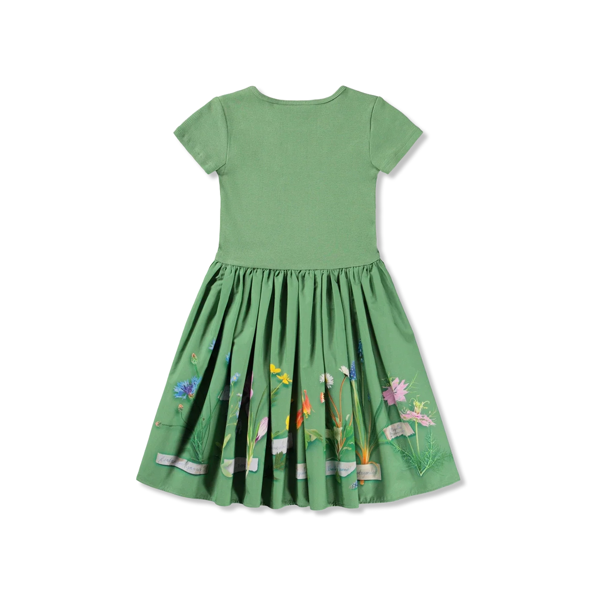Cissa dress