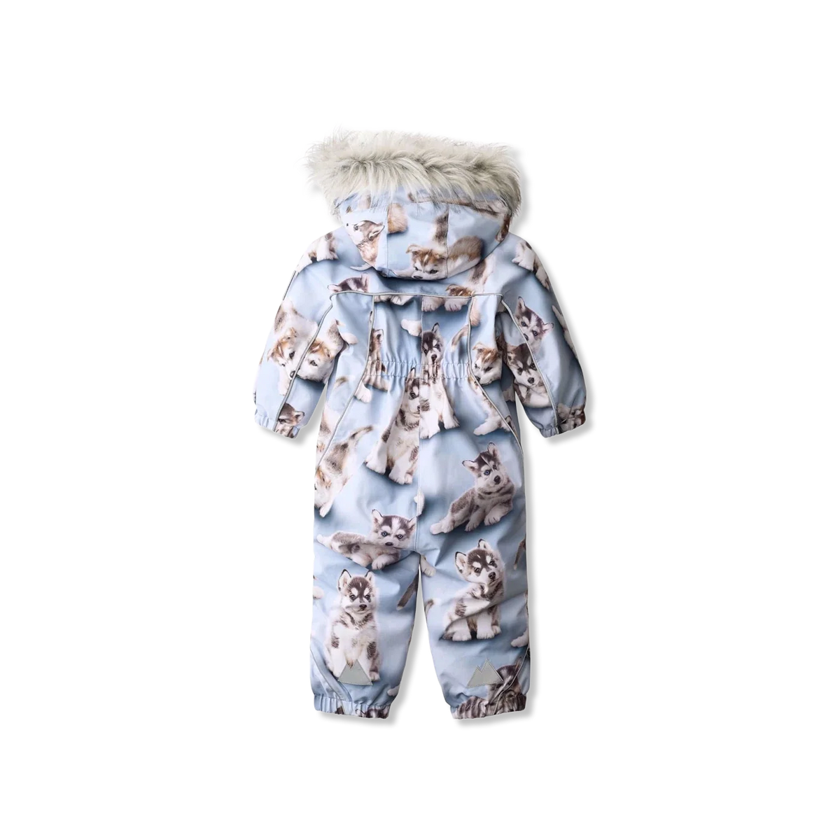Pyxis fur