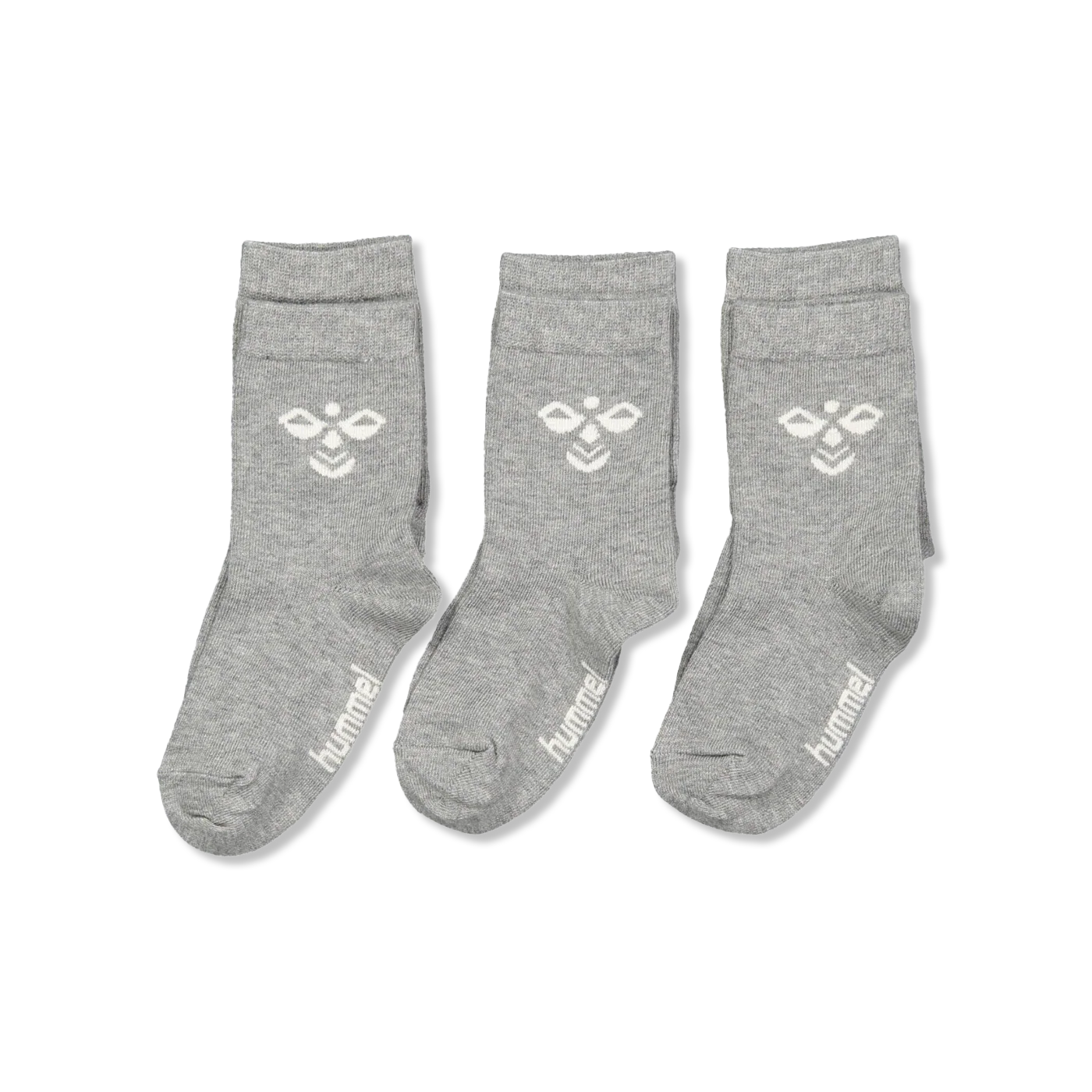 SUTTON socks