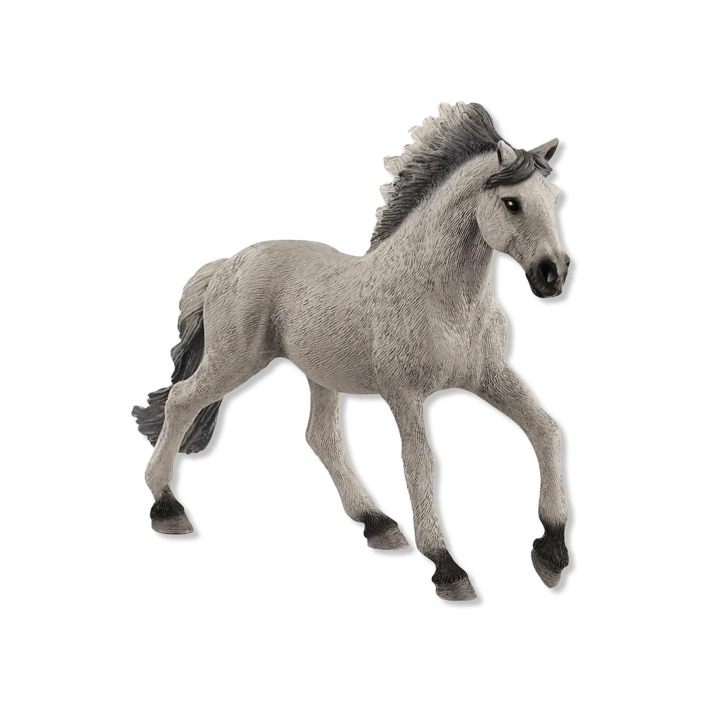 Sorraia Mustang Stallion animals & figures