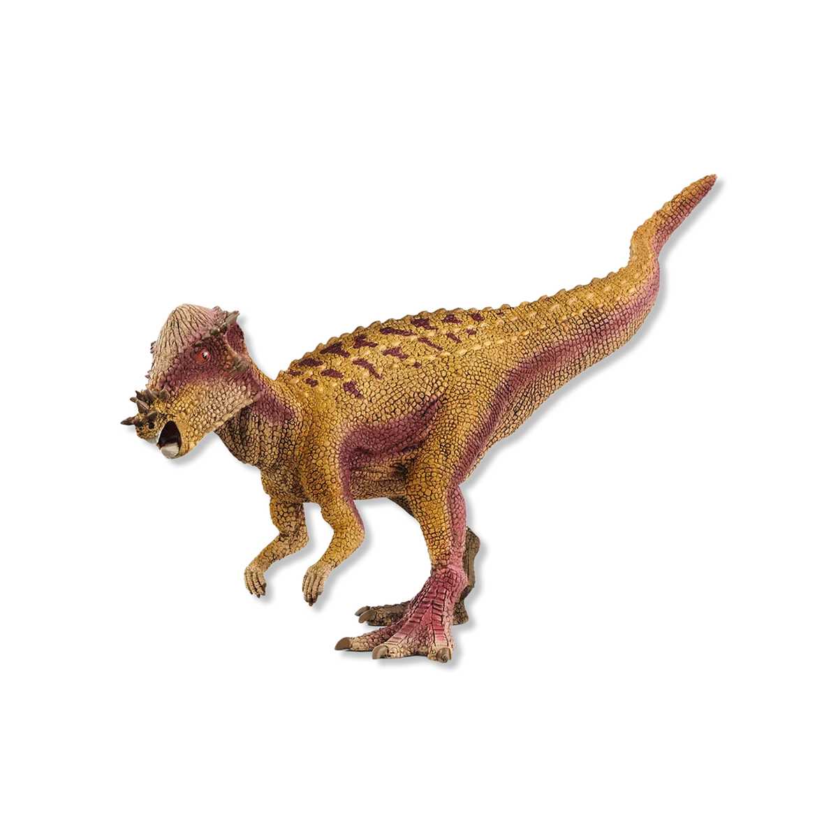 Pachycephalosaurus tiere & Figuren