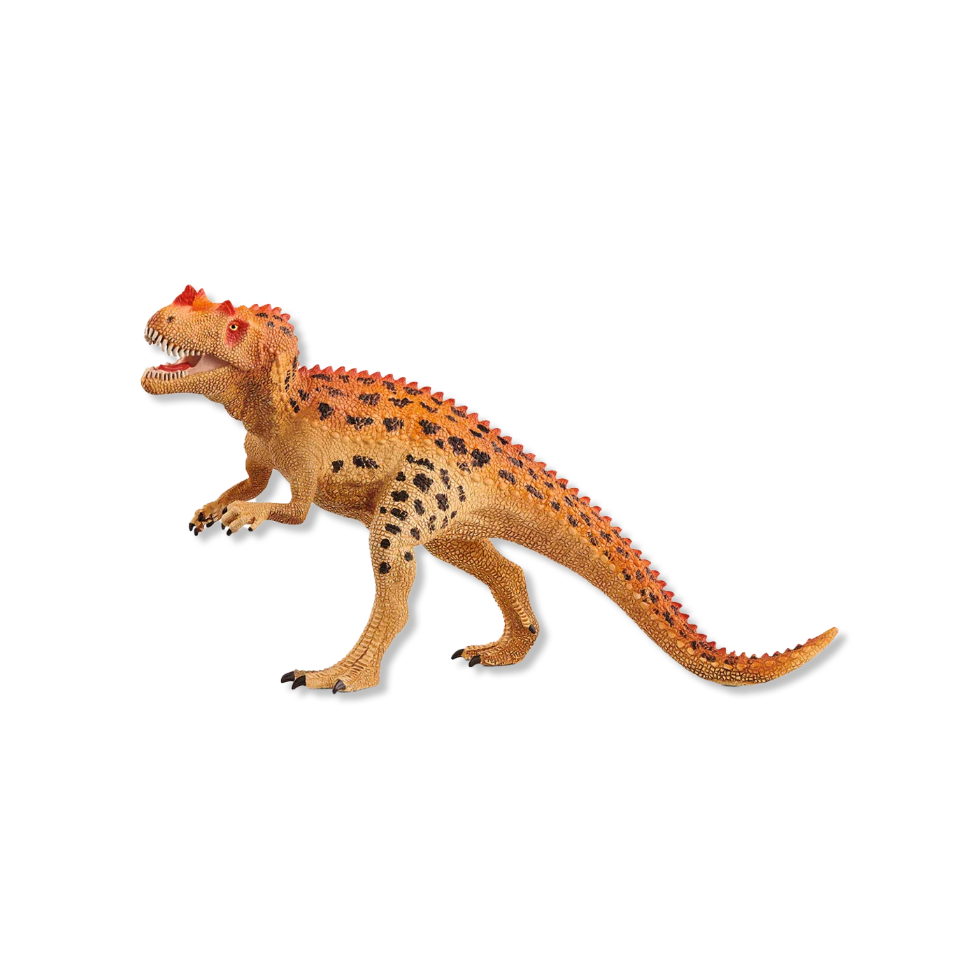Ceratosaurus tiere & Figuren
