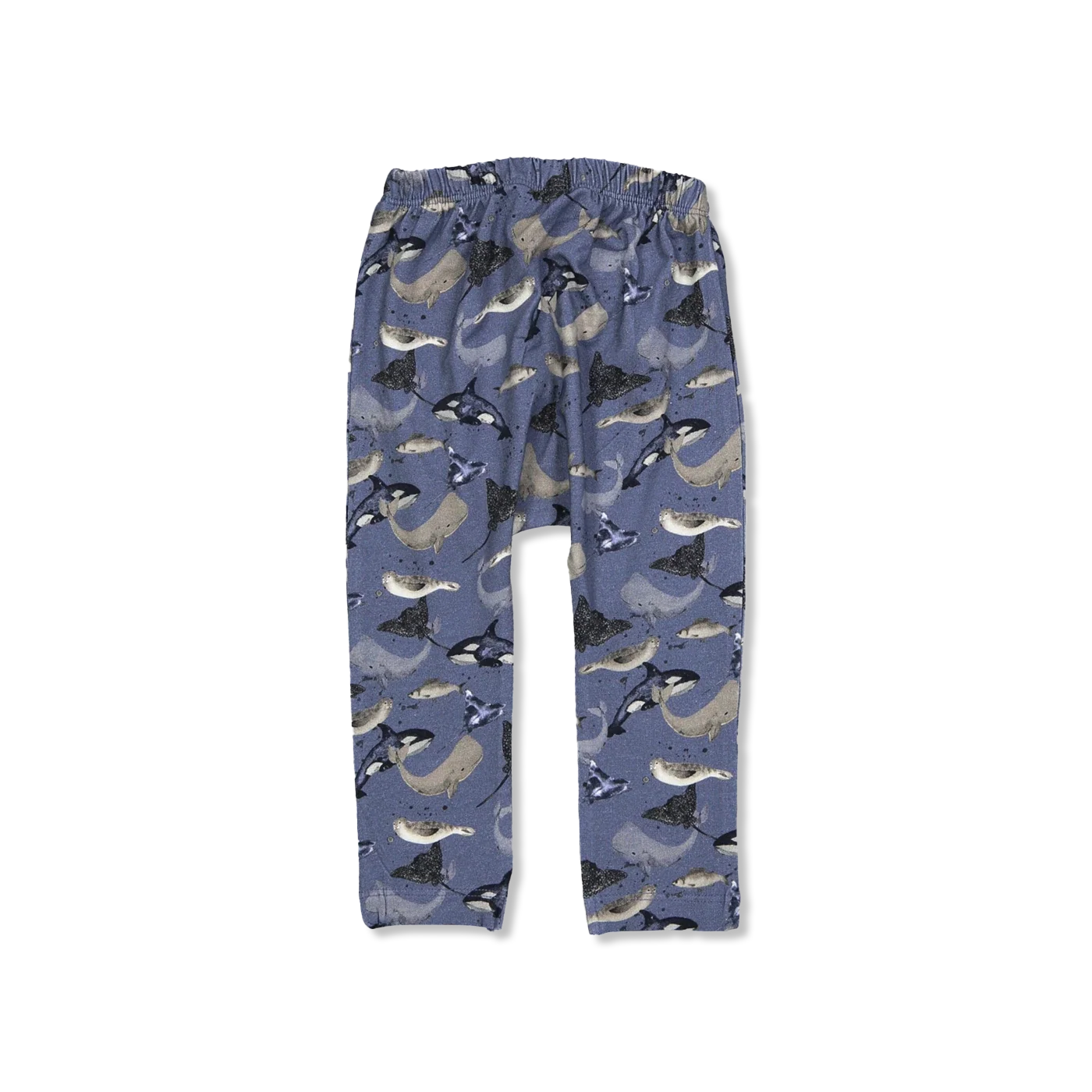 NBMTAMMES hose