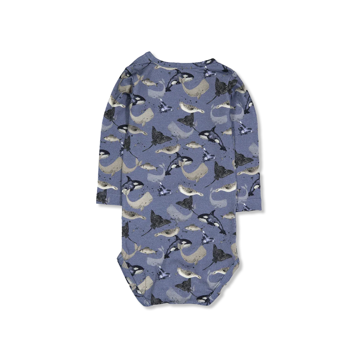 NBMTAMMES body