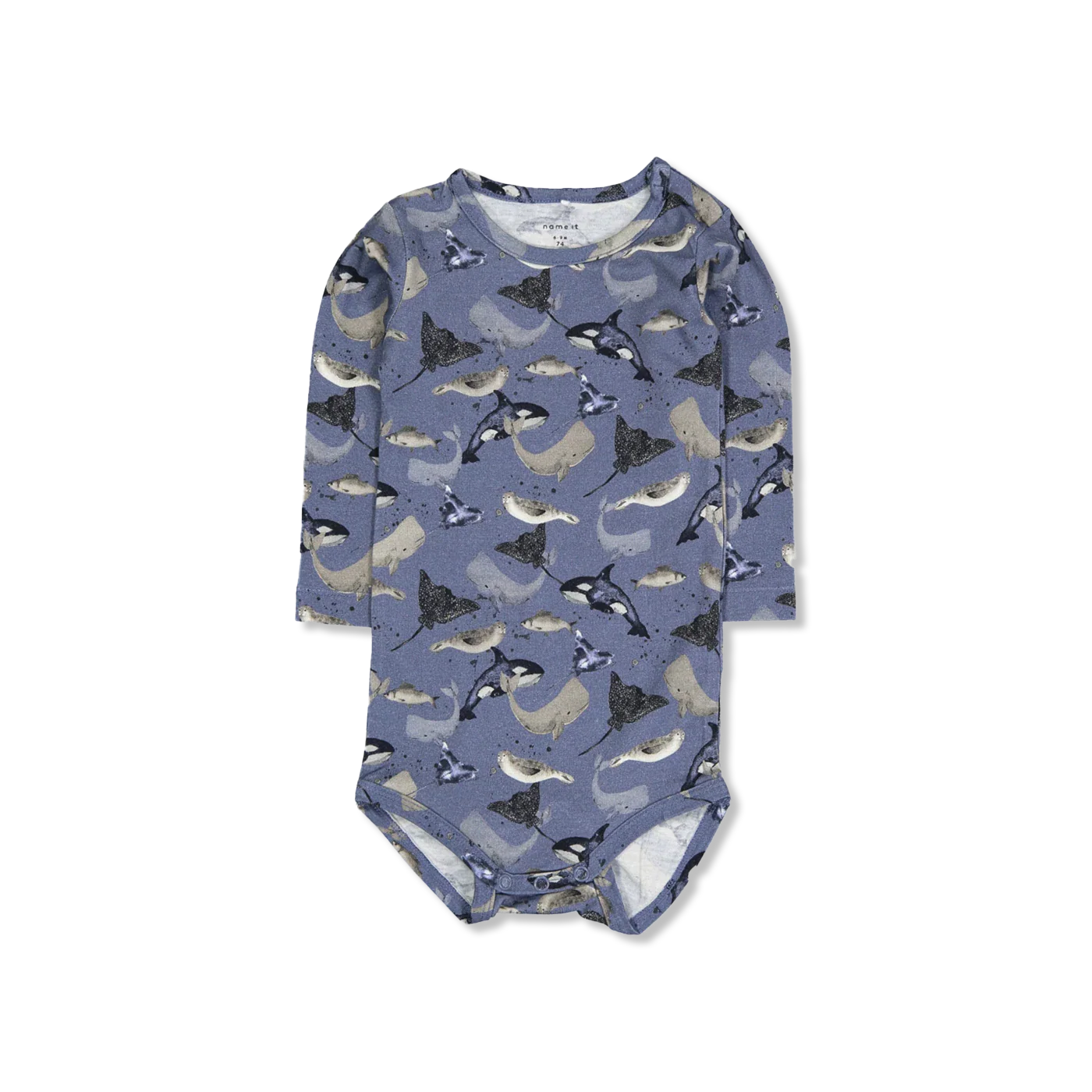 NBMTAMMES body