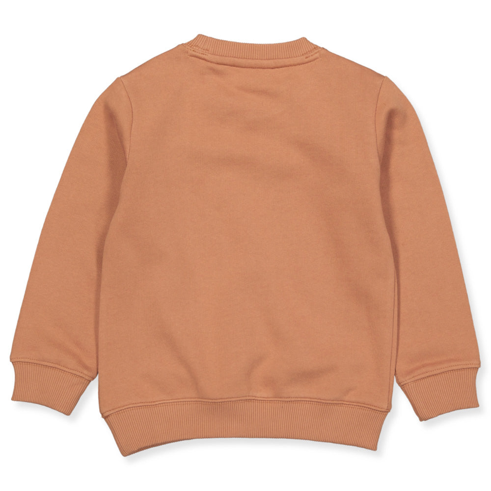Owl sweatshirts