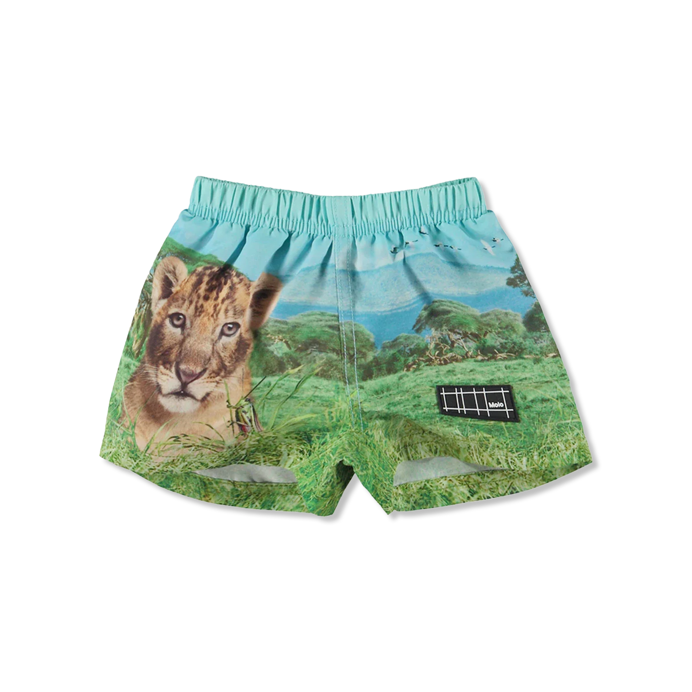 Newton swim trunks