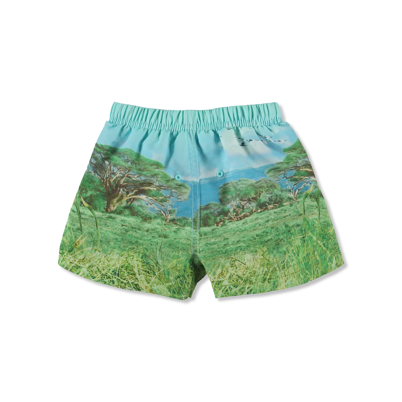 Newton swim trunks