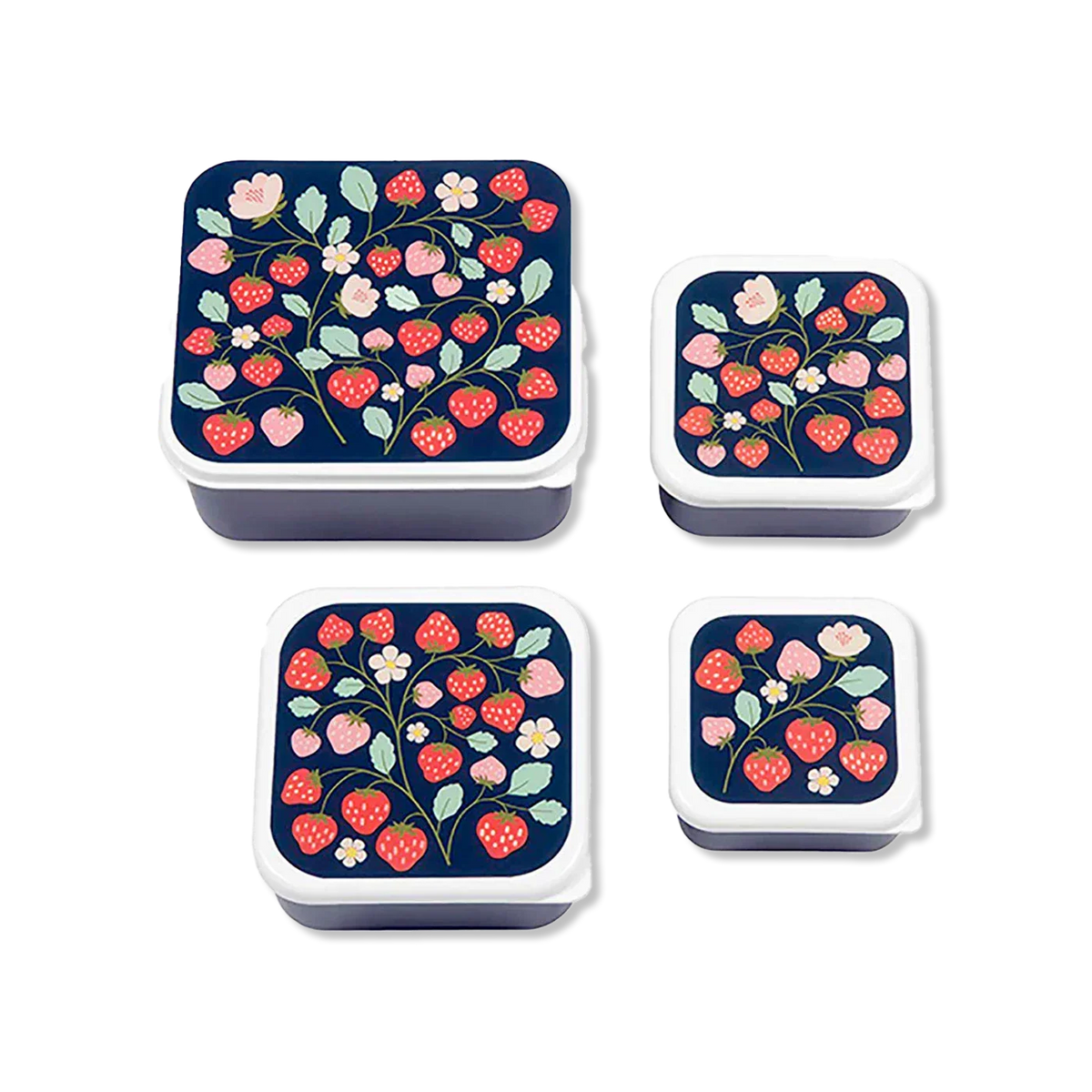lunch boxes