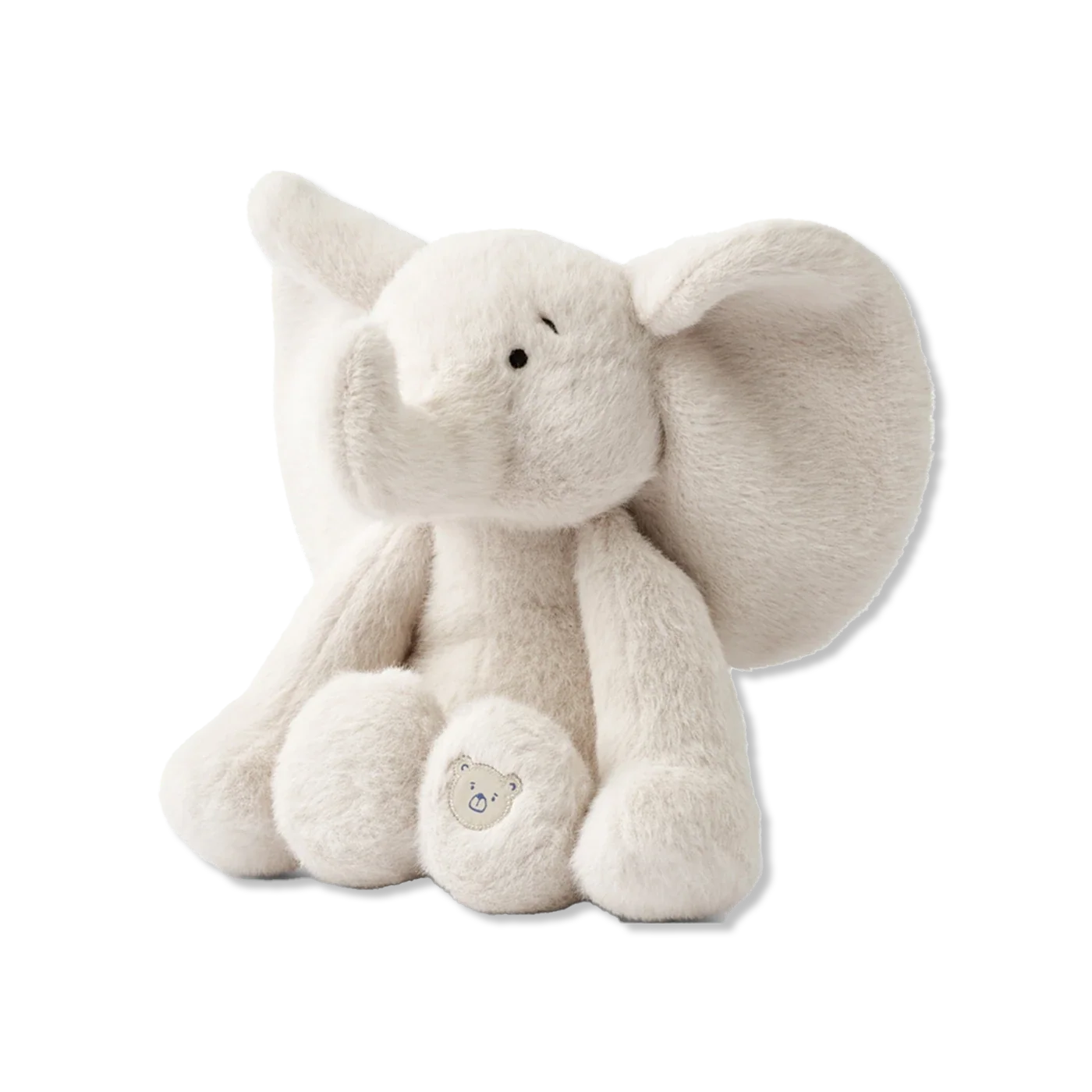 Berto teddy
