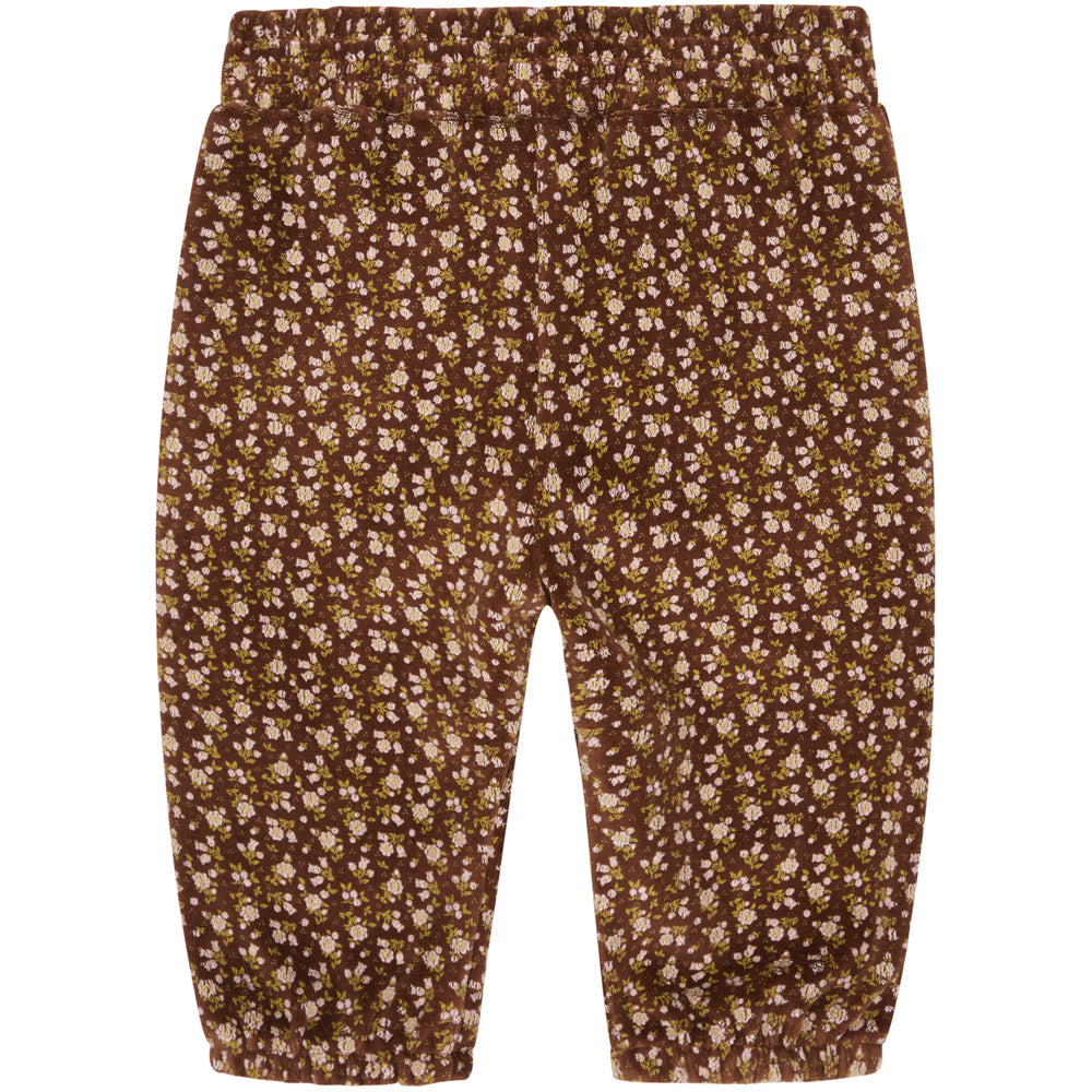 HCGela hose