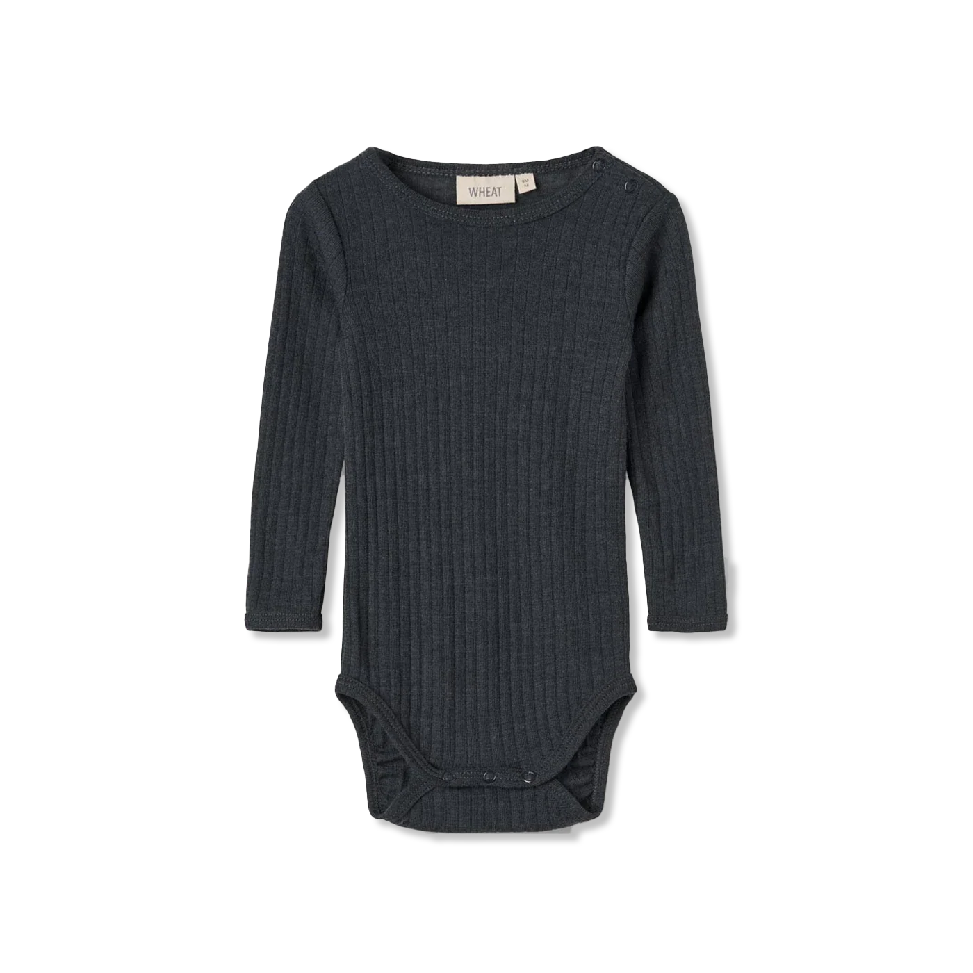 Lucca body