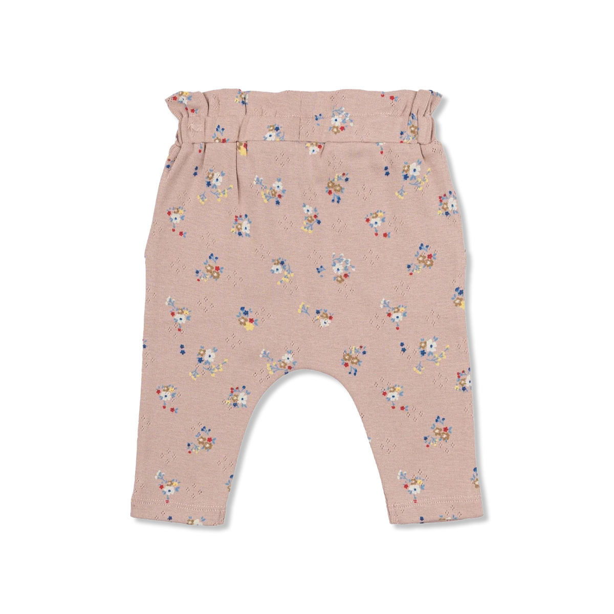 TNSBNicole hose