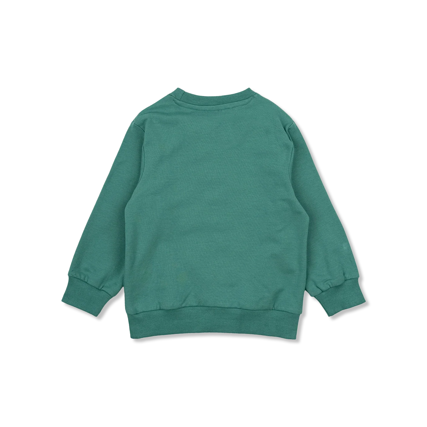 TNSTNikolos sweatshirts