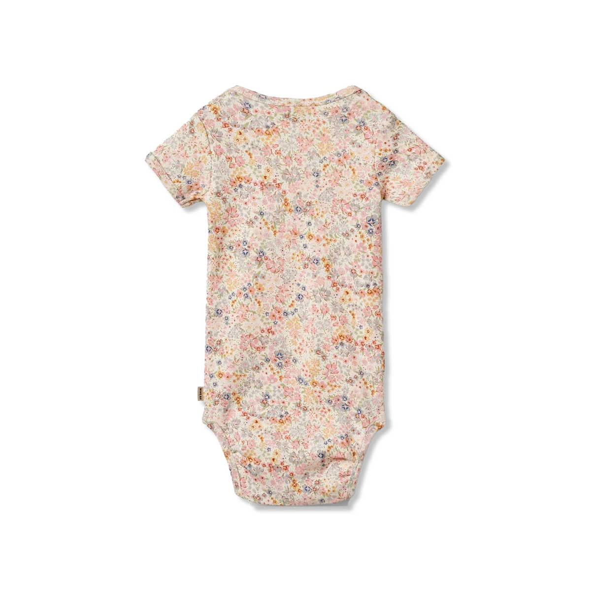 Linette body