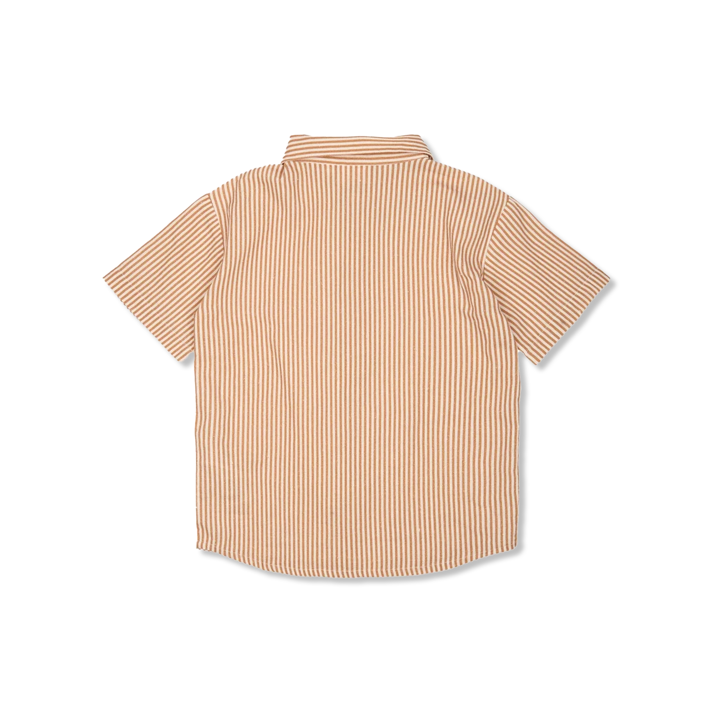 TNOllie shirt