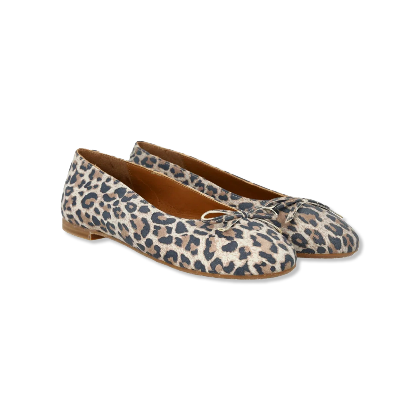 ballerina shoes