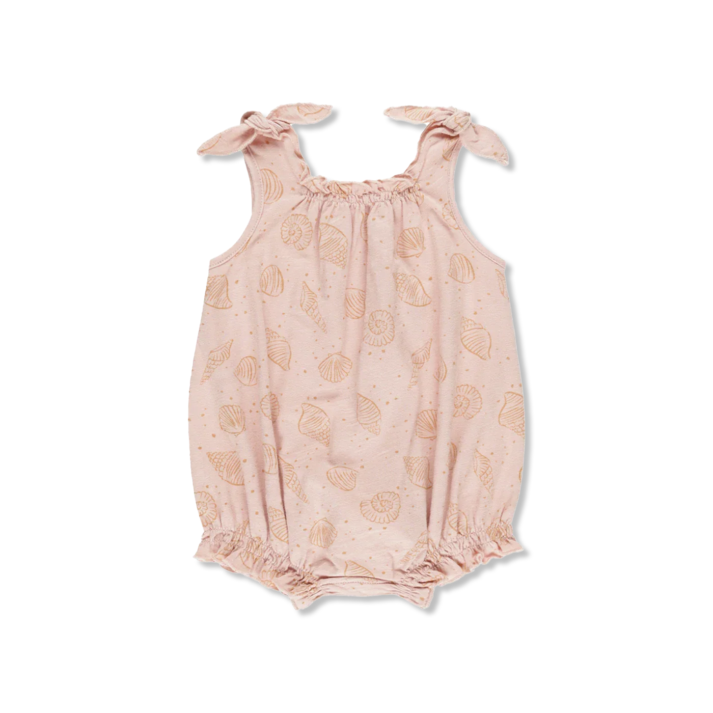 SEASHELLS body