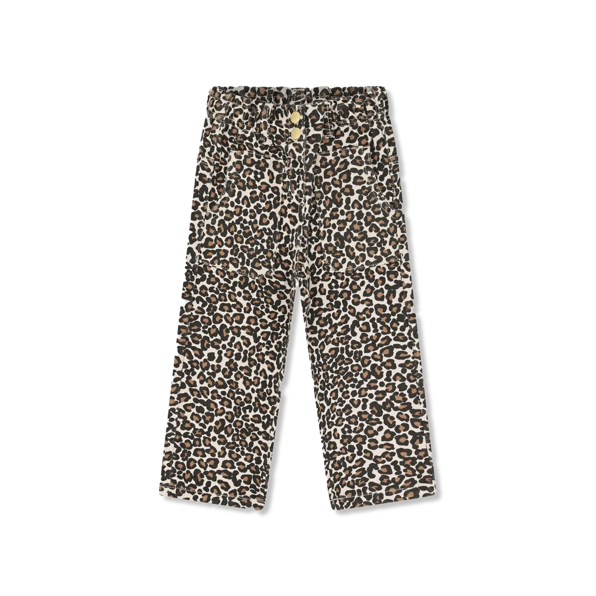 HCTammy hose
