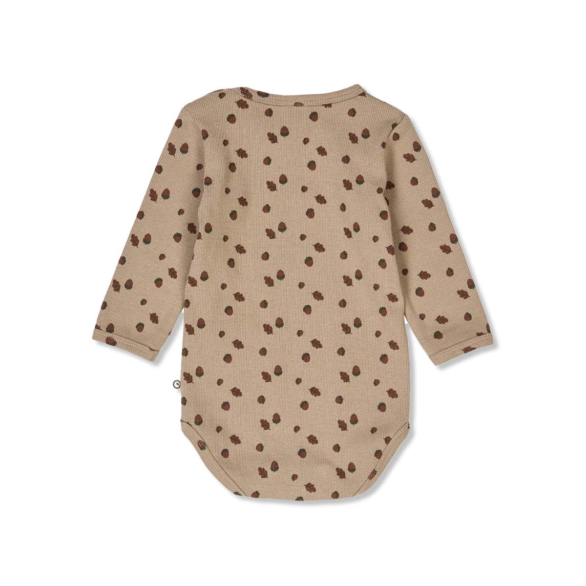 Acorn Body