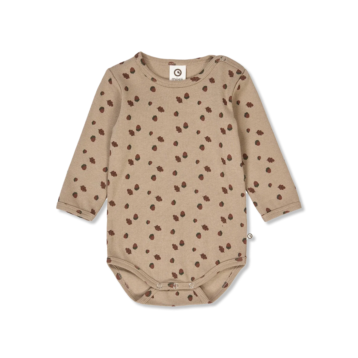 Acorn Body