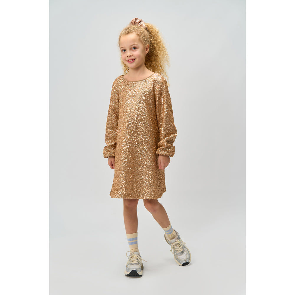 TNRupa dress