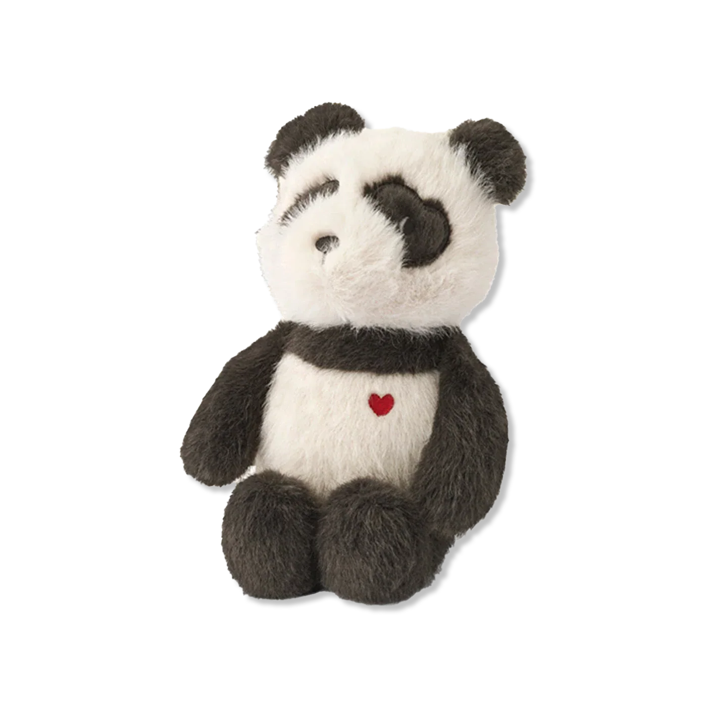 Dania teddy