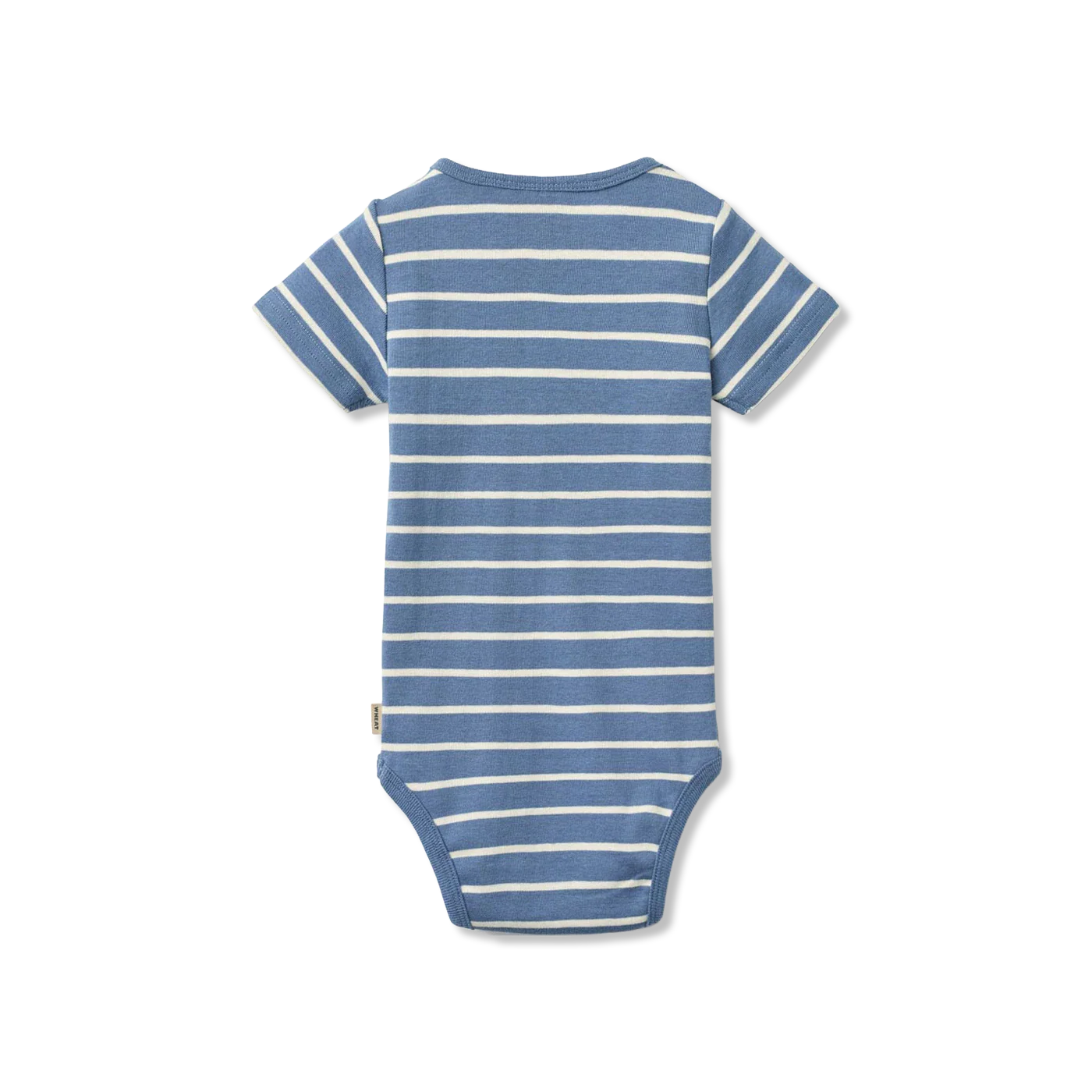 Edvald Body