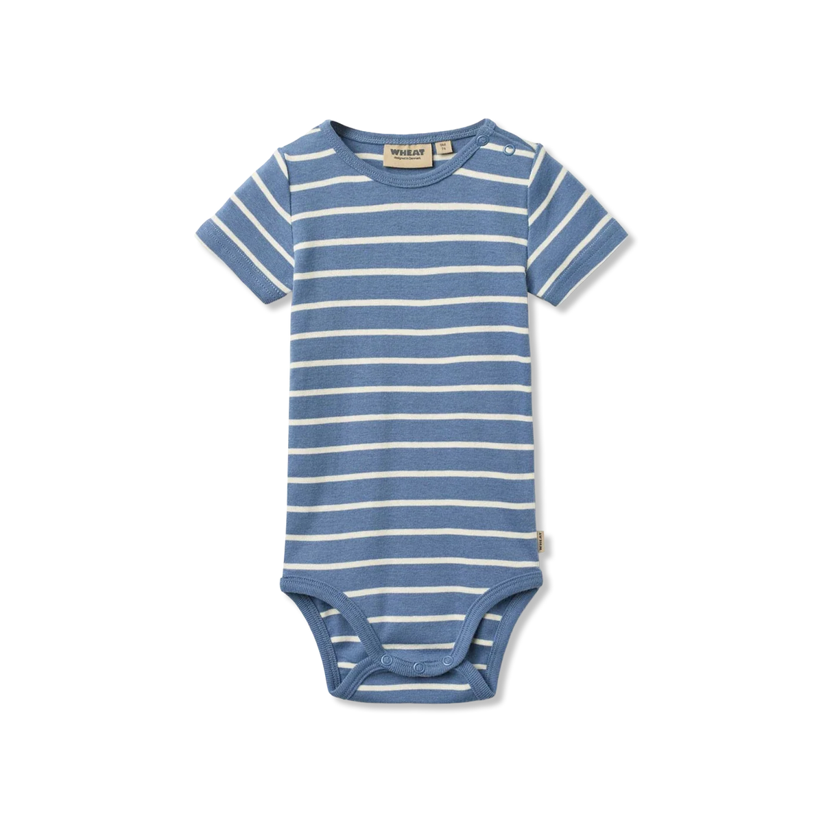 Edvald Body