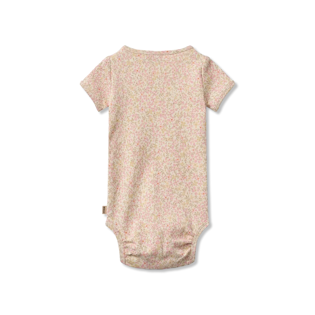 Linette Body