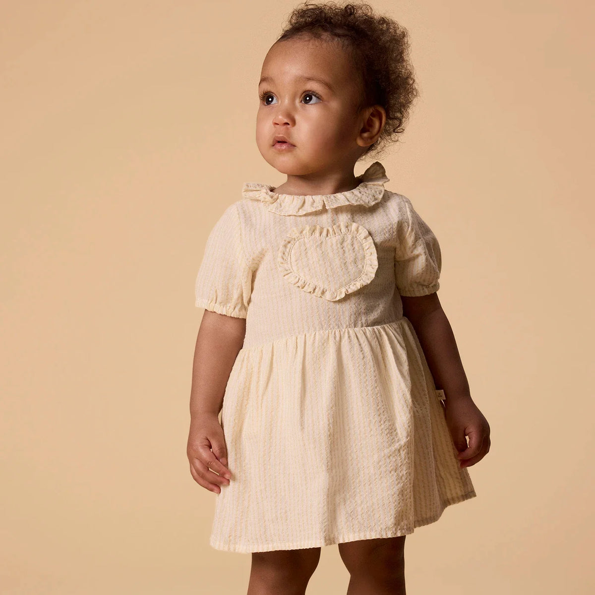 Nbffolly Dress