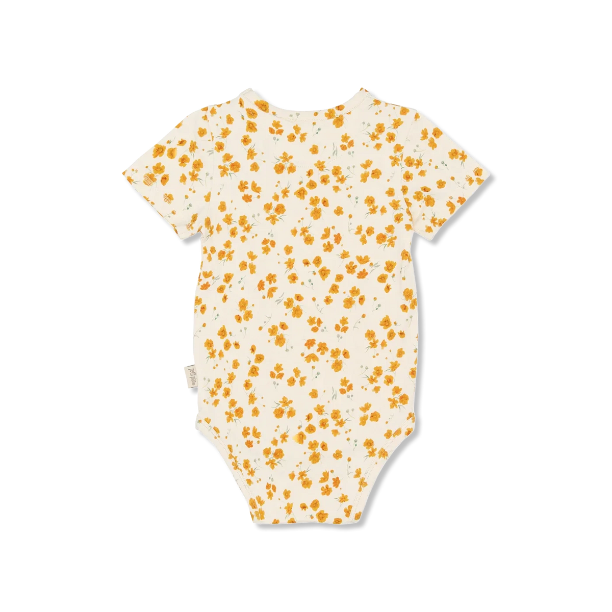 Sun Body
