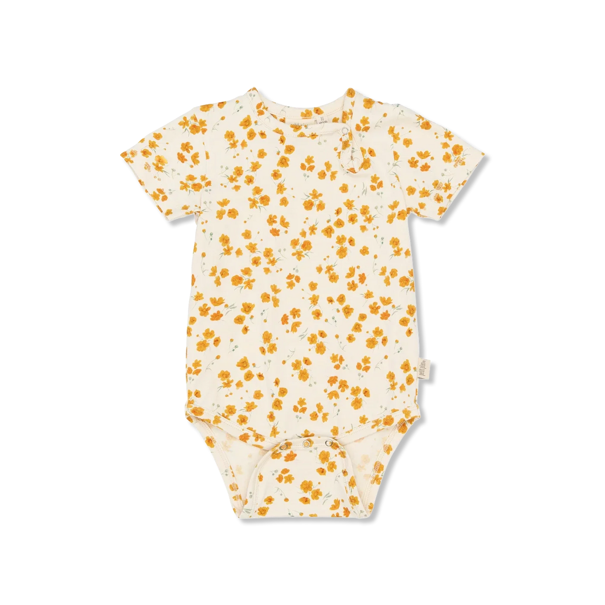 Sun Body
