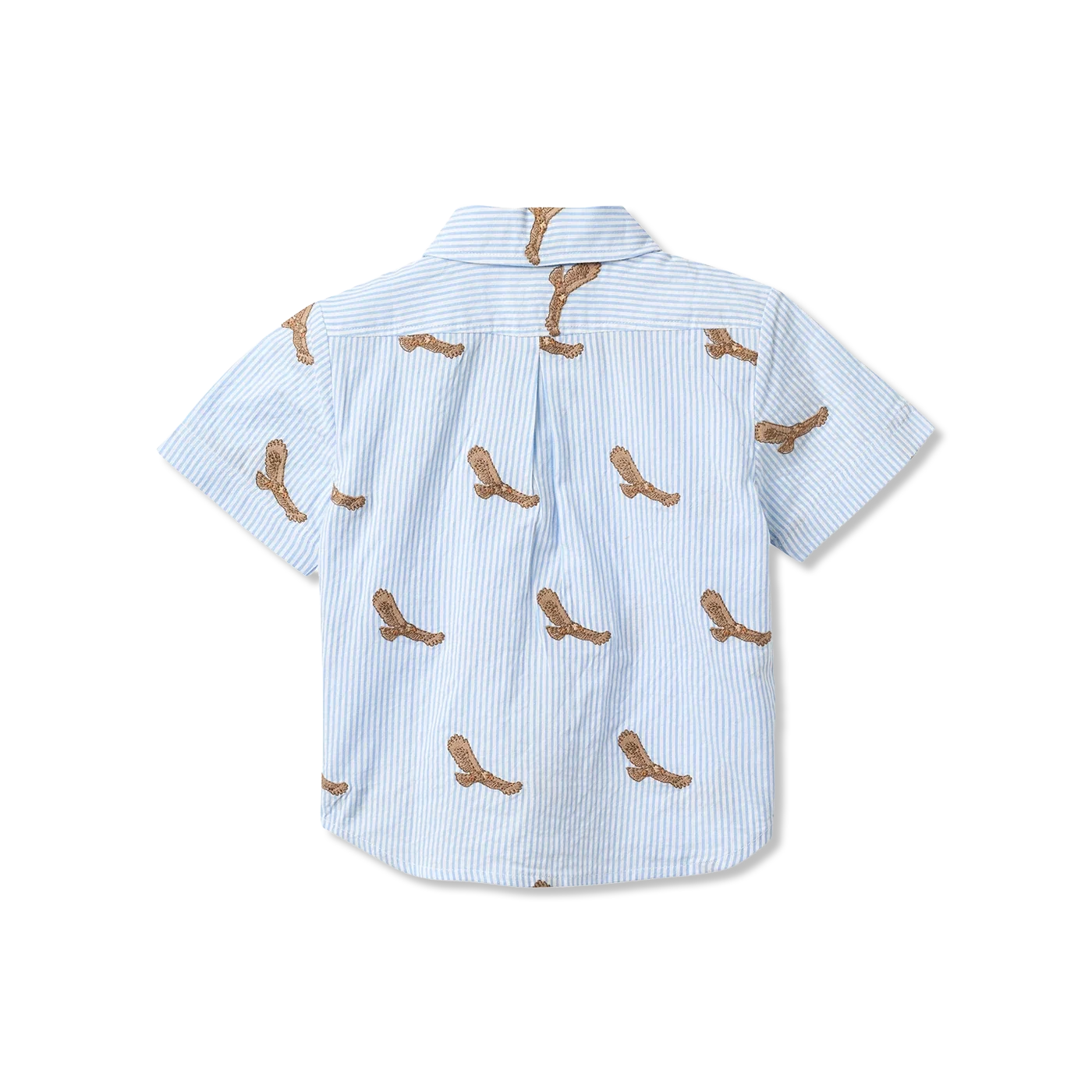 Shirt Shirt