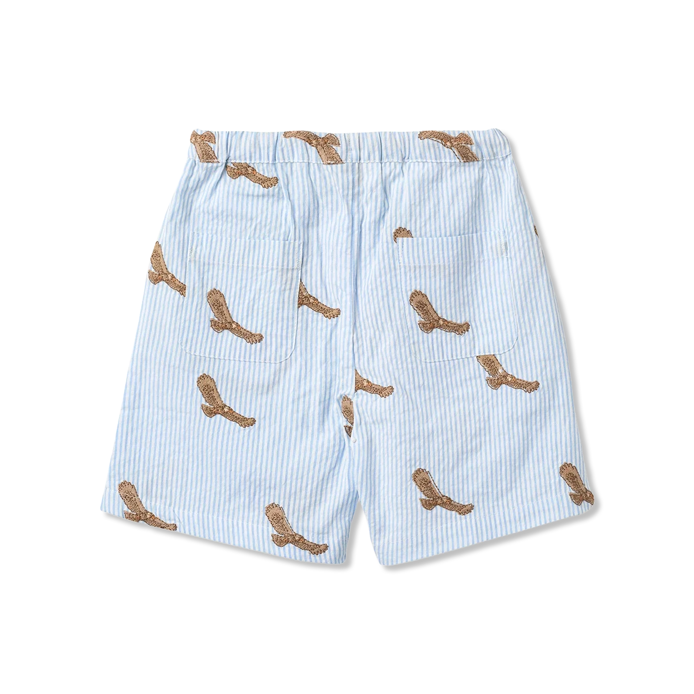Shorts Shorts
