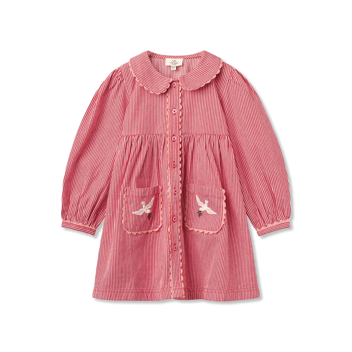 Embroidery Dress