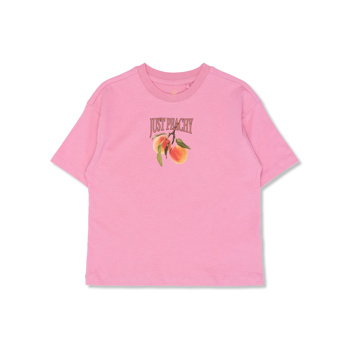 TNTenna t-Shirt
