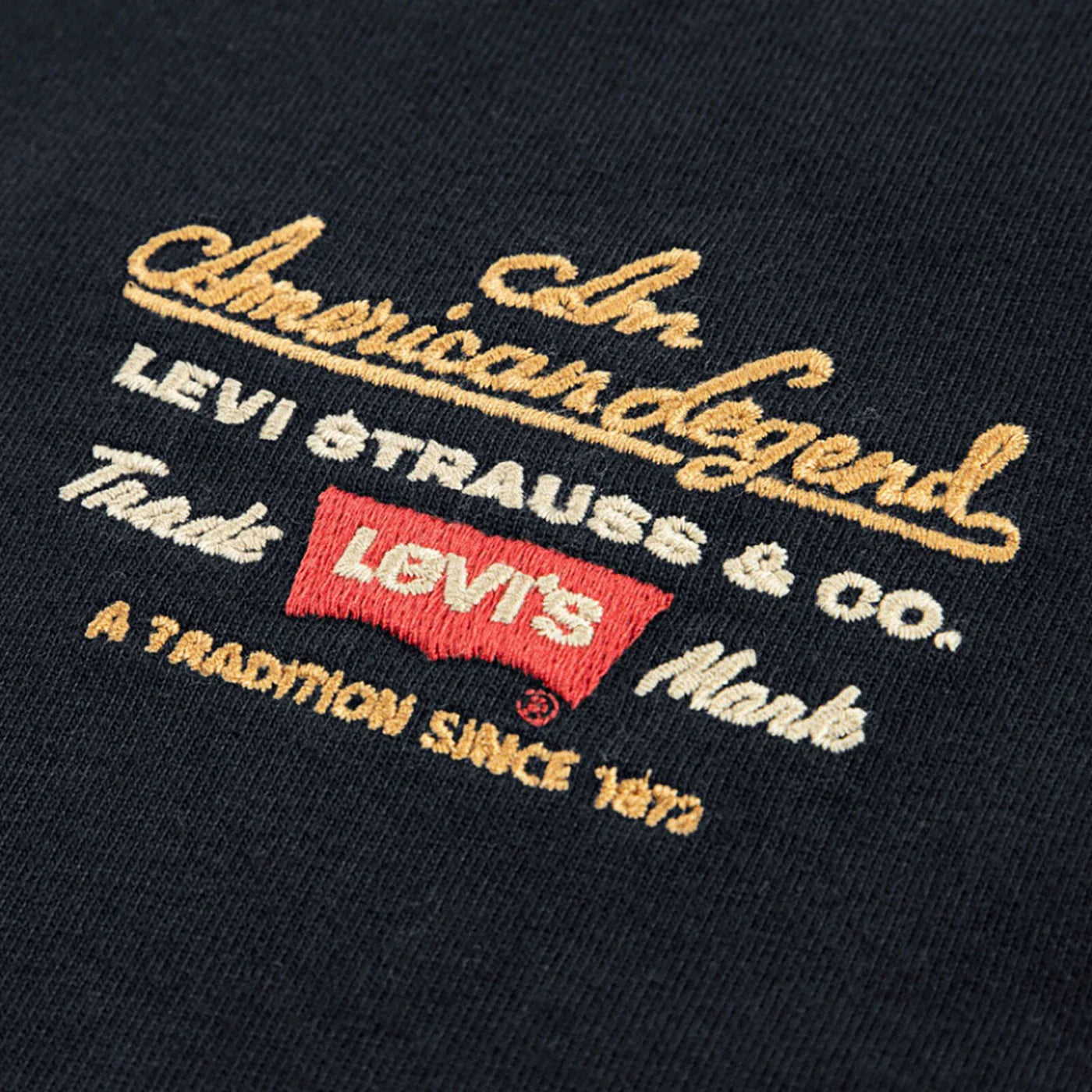 LVB LEGENDARY lS T-shirt