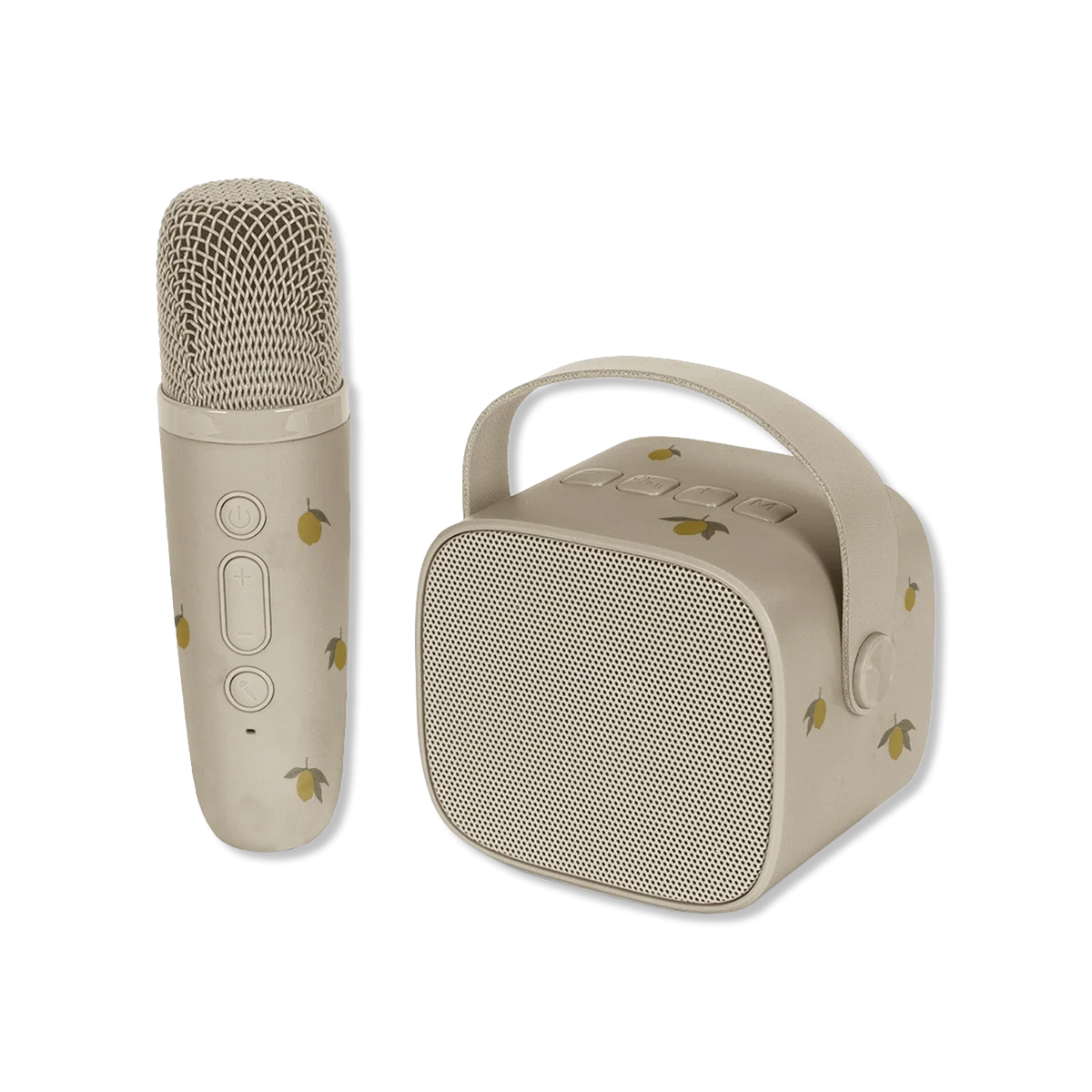 Kids Microphone