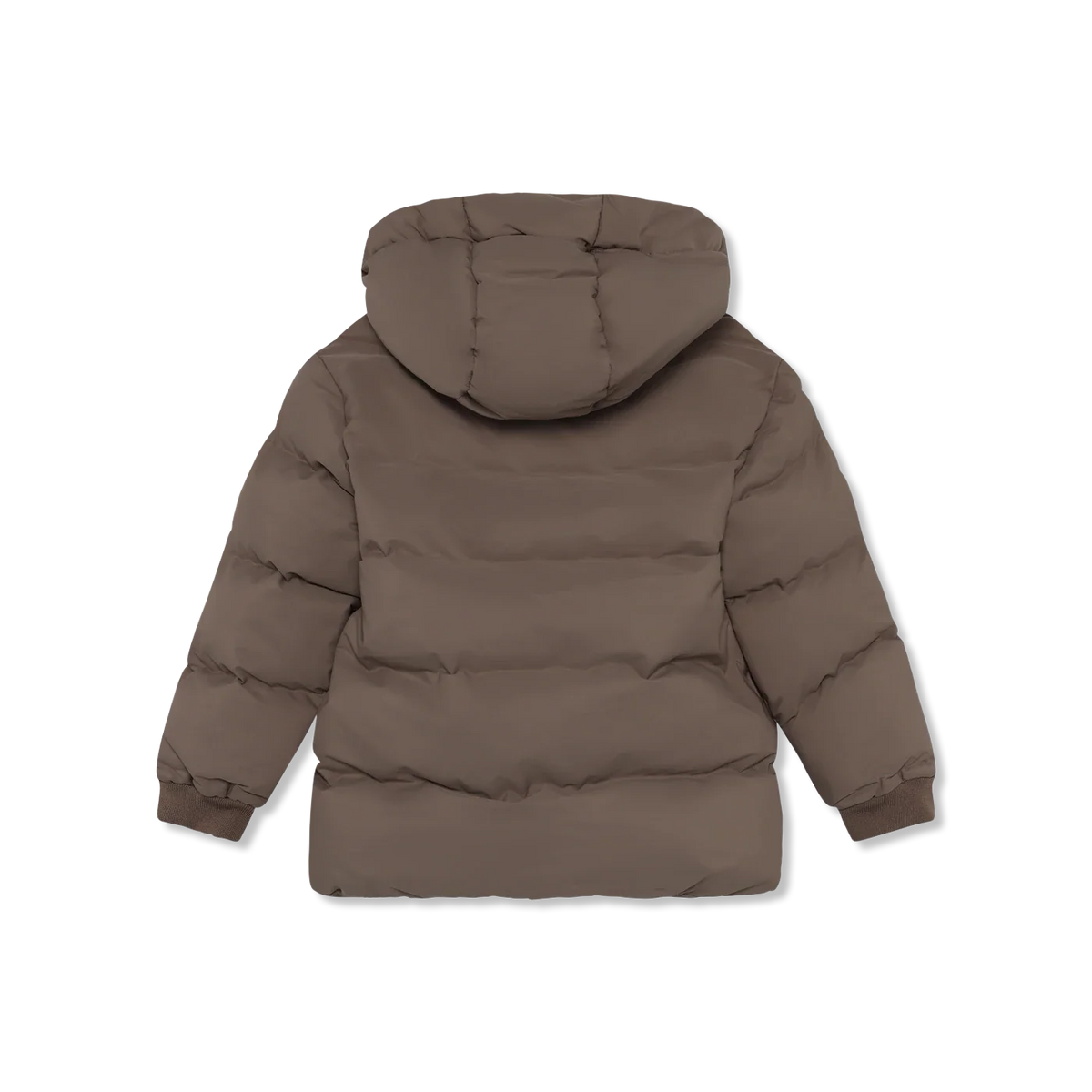 Winter jacket