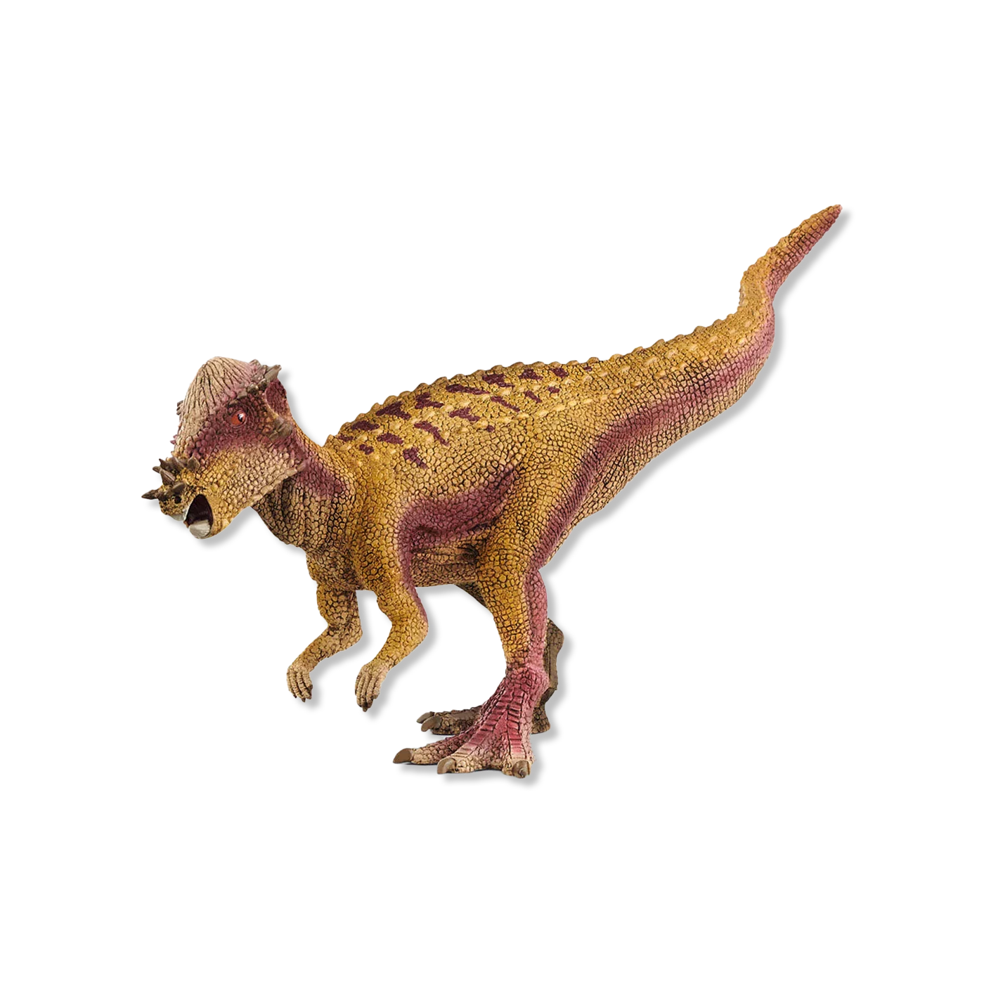 Pachycephalosaurus tiere & Figuren