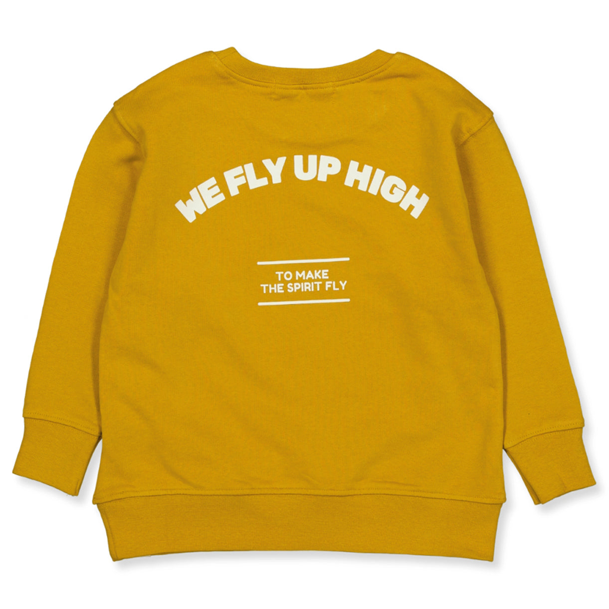 Toledo sweatshirts
